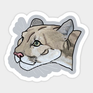 Onça parda, moutain lion, cougar Sticker